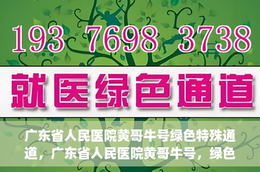 广东省人民医院黄哥牛号绿色特殊通道，广东省人民医院黄哥牛号，绿色特殊通道开启健康之门