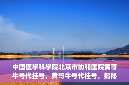 中国医学科学院北京市协和医院黄哥牛号代挂号，黄哥牛号代挂号，揭秘中国医学科学院北京市协和医院挂号背后的故事