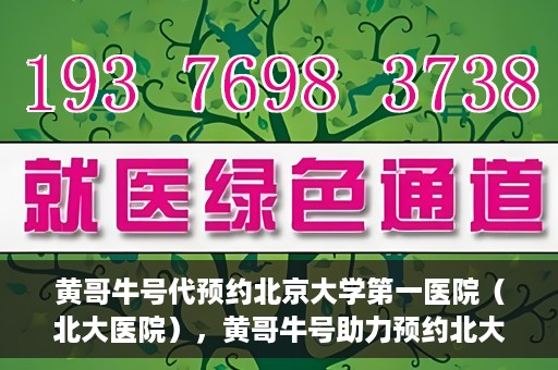 黄哥牛号代预约北京大学第一医院（北大医院），黄哥牛号助力预约北大医院——北京大学第一医院权威预约服务开启