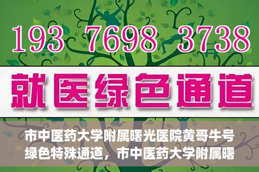 市中医药大学附属曙光医院黄哥牛号绿色特殊通道，市中医药大学附属曙光医院黄哥牛号，绿色特殊通道开启健康之门