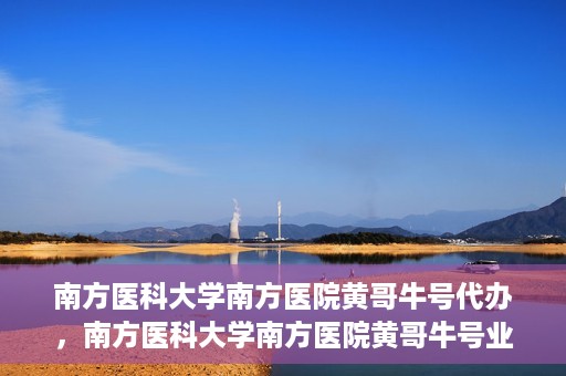 南方医科大学南方医院黄哥牛号代办，南方医科大学南方医院黄哥牛号业务代办攻略