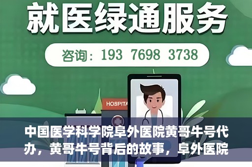 中国医学科学院阜外医院黄哥牛号代办，黄哥牛号背后的故事，阜外医院名医揭秘与医疗服务的深度解读