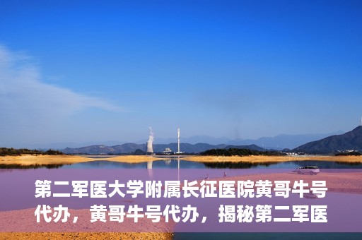 第二军医大学附属长征医院黄哥牛号代办，黄哥牛号代办，揭秘第二军医大学附属长征医院的医疗服务新篇章