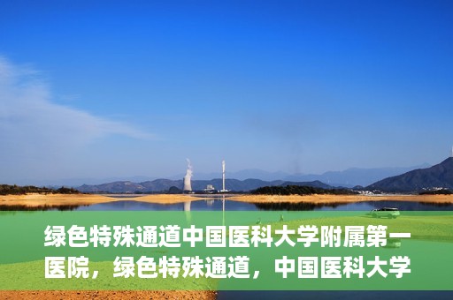 绿色特殊通道中国医科大学附属第一医院，绿色特殊通道，中国医科大学附属第一医院探索前行