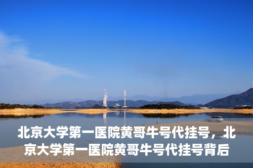 北京大学第一医院黄哥牛号代挂号，北京大学第一医院黄哥牛号代挂号背后的故事与真相探索