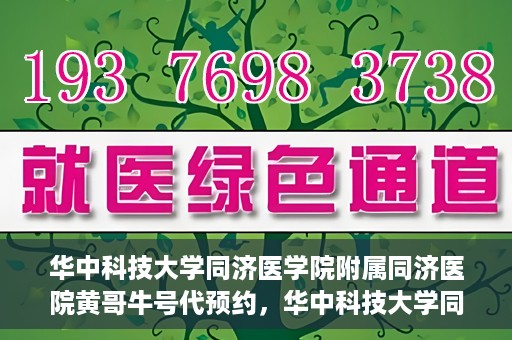 华中科技大学同济医学院附属同济医院黄哥牛号代预约，华中科技大学同济医院黄哥牛号预约服务解析
