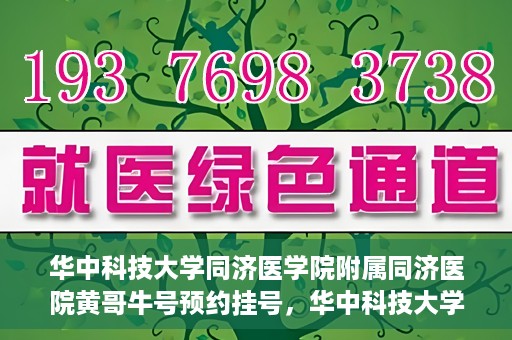 华中科技大学同济医学院附属同济医院黄哥牛号预约挂号，华中科技大学同济医院黄哥牛号预约挂号攻略