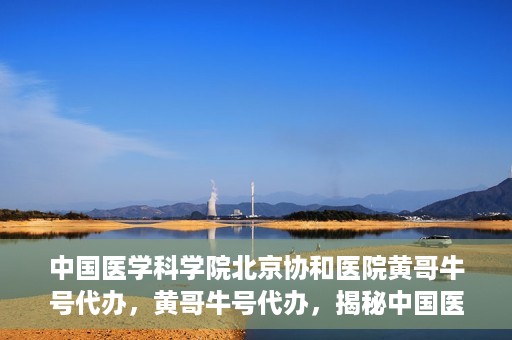 中国医学科学院北京协和医院黄哥牛号代办，黄哥牛号代办，揭秘中国医学科学院北京协和医院背后的故事