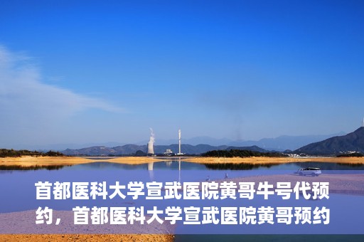 首都医科大学宣武医院黄哥牛号代预约，首都医科大学宣武医院黄哥预约代挂号服务解析