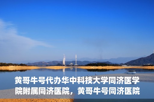黄哥牛号代办华中科技大学同济医学院附属同济医院，黄哥牛号同济医院代办服务，专业助力就医无忧！