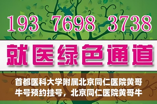 首都医科大学附属北京同仁医院黄哥牛号预约挂号，北京同仁医院黄哥牛号预约挂号攻略，专业医疗服务的便捷通道