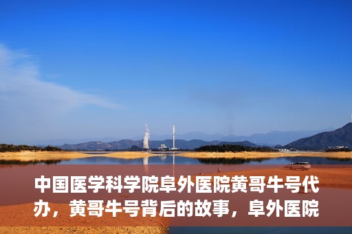中国医学科学院阜外医院黄哥牛号代办，黄哥牛号背后的故事，阜外医院名医揭秘与医疗服务的深度解读
