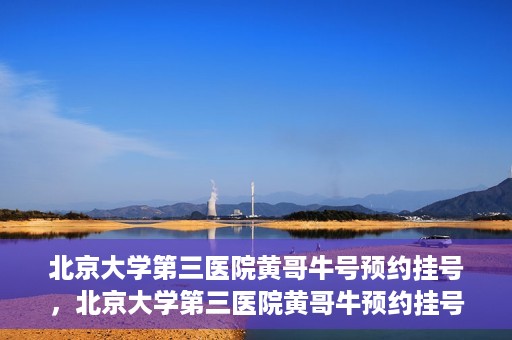 北京大学第三医院黄哥牛号预约挂号，北京大学第三医院黄哥牛预约挂号攻略，轻松预约专家号