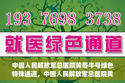中国人民解放军总医院黄哥牛号绿色特殊通道，中国人民解放军总医院黄哥牛号，绿色特殊通道开启健康之门