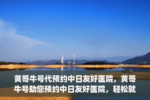 黄哥牛号代预约中日友好医院，黄哥牛号助您预约中日友好医院，轻松就医新体验