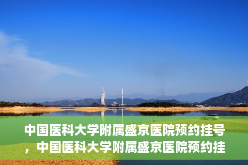 中国医科大学附属盛京医院预约挂号，中国医科大学附属盛京医院预约挂号指南，一站式解决您的挂号难题
