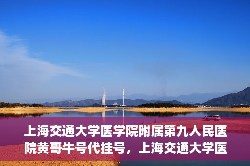 上海交通大学医学院附属第九人民医院黄哥牛号代挂号，上海交通大学医学院附属第九人民医院黄哥牛号助您轻松预约挂号