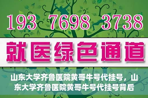 山东大学齐鲁医院黄哥牛号代挂号，山东大学齐鲁医院黄哥牛号代挂号背后的故事与探索
