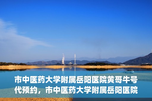 市中医药大学附属岳阳医院黄哥牛号代预约，市中医药大学附属岳阳医院黄哥牛号预约服务启动
