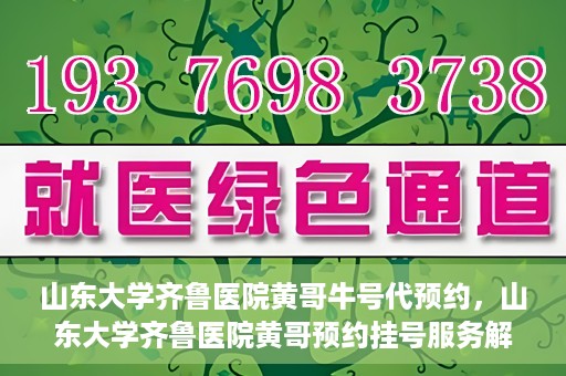 山东大学齐鲁医院黄哥牛号代预约，山东大学齐鲁医院黄哥预约挂号服务解析