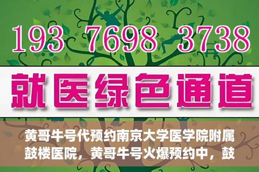 黄哥牛号代预约南京大学医学院附属鼓楼医院，黄哥牛号火爆预约中，鼓楼医院携手南京大学医学院开启健康新篇章