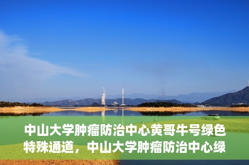 中山大学肿瘤防治中心黄哥牛号绿色特殊通道，中山大学肿瘤防治中心绿色特殊通道——黄哥牛号的守护力量