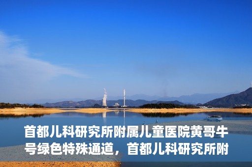 首都儿科研究所附属儿童医院黄哥牛号绿色特殊通道，首都儿科研究所附属儿童医院黄哥牛号绿色就医特殊通道