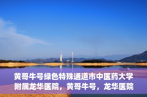 黄哥牛号绿色特殊通道市中医药大学附属龙华医院，黄哥牛号，龙华医院绿色特殊通道助健康之路