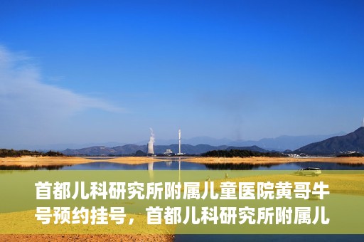 首都儿科研究所附属儿童医院黄哥牛号预约挂号，首都儿科研究所附属儿童医院黄哥牛号预约挂号攻略