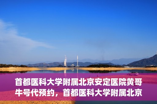 首都医科大学附属北京安定医院黄哥牛号代预约，首都医科大学附属北京安定医院黄哥牛号预约服务解析