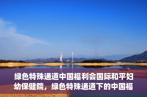 绿色特殊通道中国福利会国际和平妇幼保健院，绿色特殊通道下的中国福利会国际和平妇幼保健院，守护母婴健康的温馨港湾