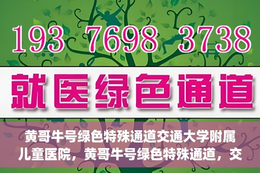 黄哥牛号绿色特殊通道交通大学附属儿童医院，黄哥牛号绿色特殊通道，交通大学附属儿童医院的探索与实践