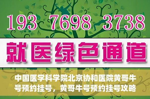 中国医学科学院北京协和医院黄哥牛号预约挂号，黄哥牛号预约挂号攻略，中国医学科学院北京协和医院就医指南