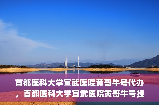 首都医科大学宣武医院黄哥牛号代办，首都医科大学宣武医院黄哥牛号挂号代办攻略