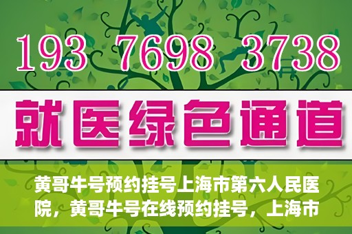 黄哥牛号预约挂号上海市第六人民医院，黄哥牛号在线预约挂号，上海市第六人民医院就医新选择