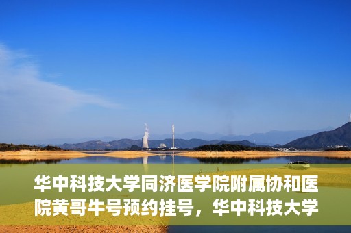 华中科技大学同济医学院附属协和医院黄哥牛号预约挂号，华中科技大学同济医学院附属协和医院黄哥牛号预约挂号攻略解析