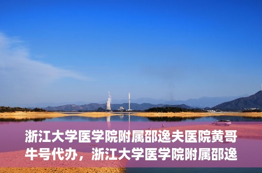 浙江大学医学院附属邵逸夫医院黄哥牛号代办，浙江大学医学院附属邵逸夫医院黄哥牛号业务代办攻略