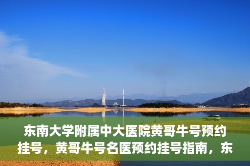 东南大学附属中大医院黄哥牛号预约挂号，黄哥牛号名医预约挂号指南，东南大学附属中大医院预约攻略