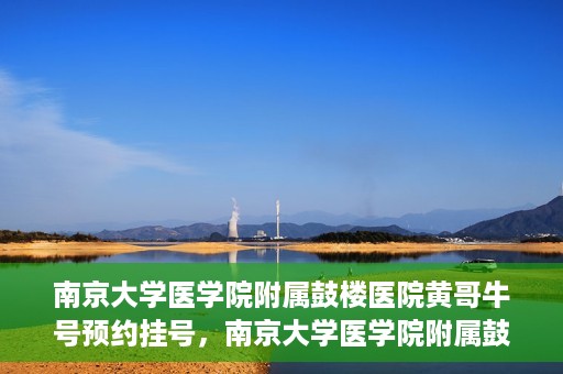 南京大学医学院附属鼓楼医院黄哥牛号预约挂号，南京大学医学院附属鼓楼医院黄哥牛号预约挂号攻略解析
