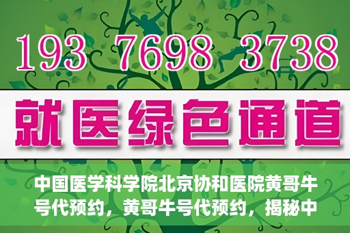 中国医学科学院北京协和医院黄哥牛号代预约，黄哥牛号代预约，揭秘中国医学科学院北京协和医院挂号秘籍