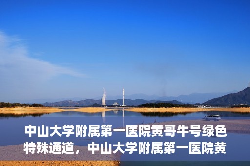 中山大学附属第一医院黄哥牛号绿色特殊通道，中山大学附属第一医院黄哥牛号，绿色特殊通道开启健康之门
