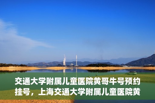 交通大学附属儿童医院黄哥牛号预约挂号，上海交通大学附属儿童医院黄哥牛儿科专家预约挂号攻略