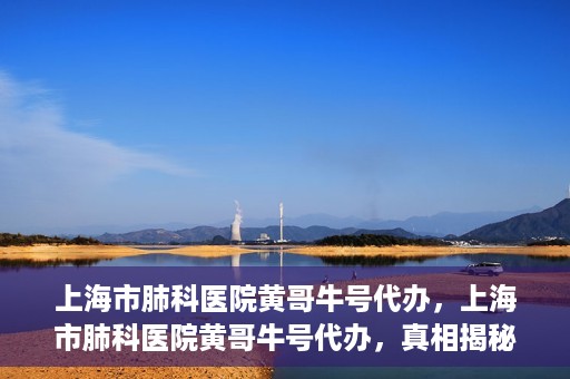上海市肺科医院黄哥牛号代办，上海市肺科医院黄哥牛号代办，真相揭秘与深度解读