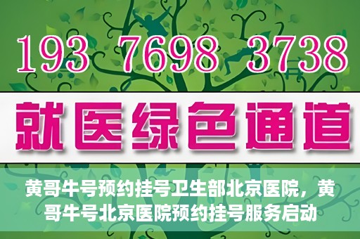 黄哥牛号预约挂号卫生部北京医院，黄哥牛号北京医院预约挂号服务启动