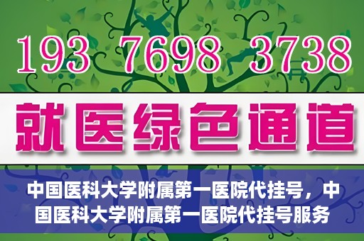 中国医科大学附属第一医院代挂号，中国医科大学附属第一医院代挂号服务详解