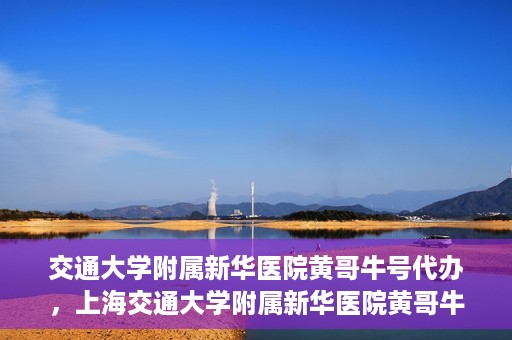 交通大学附属新华医院黄哥牛号代办，上海交通大学附属新华医院黄哥牛号代办服务解析