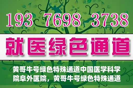黄哥牛号绿色特殊通道中国医学科学院阜外医院，黄哥牛号绿色特殊通道，阜外医院的中国医学探索之旅
