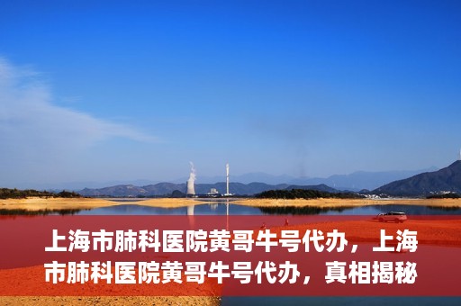上海市肺科医院黄哥牛号代办，上海市肺科医院黄哥牛号代办，真相揭秘与深度解读