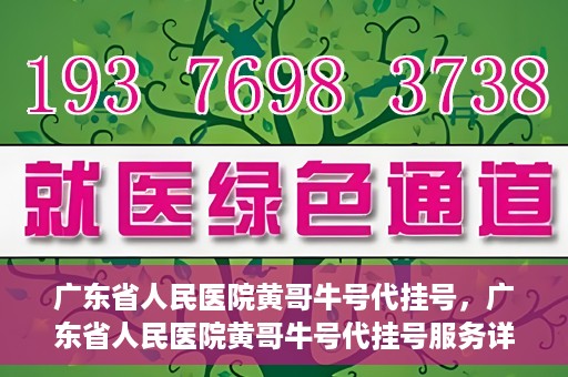 广东省人民医院黄哥牛号代挂号，广东省人民医院黄哥牛号代挂号服务详解