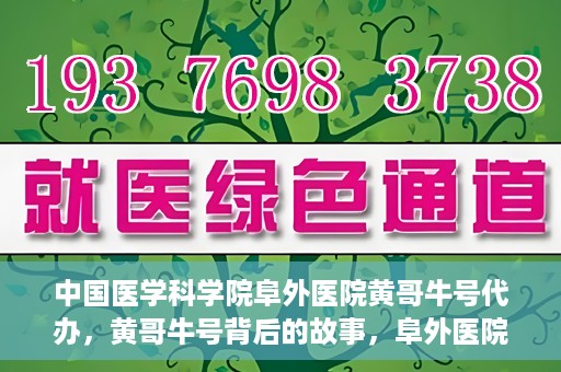 中国医学科学院阜外医院黄哥牛号代办，黄哥牛号背后的故事，阜外医院名医揭秘与医疗服务的深度解读